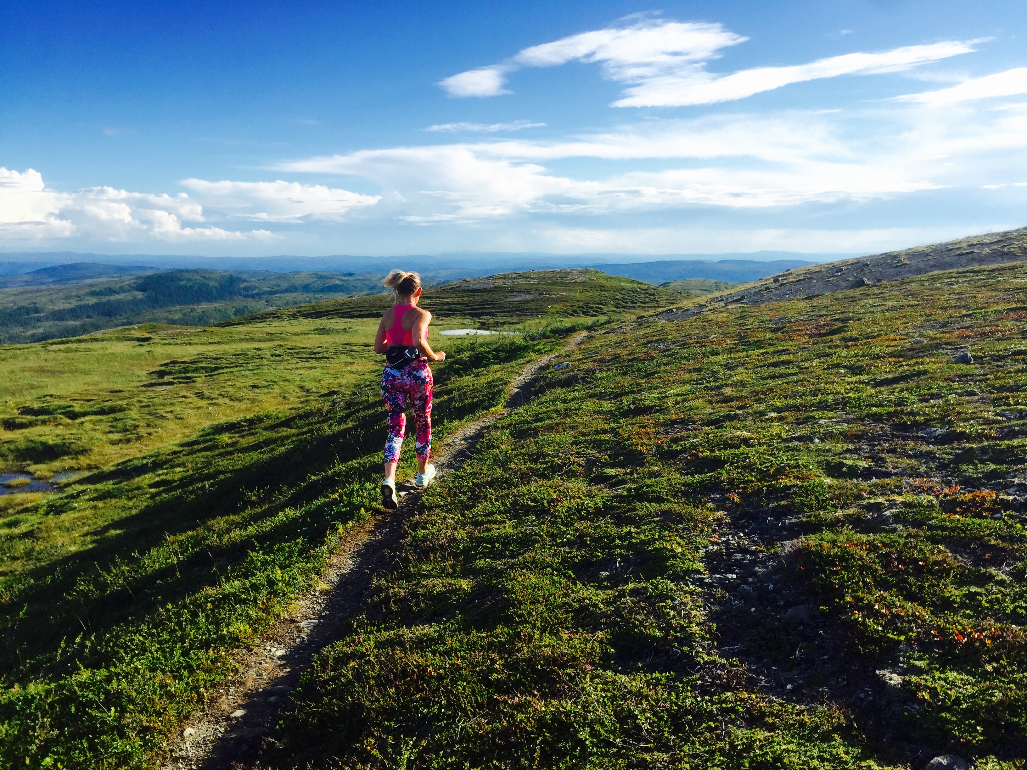 Fjell rundt Skallstuggu